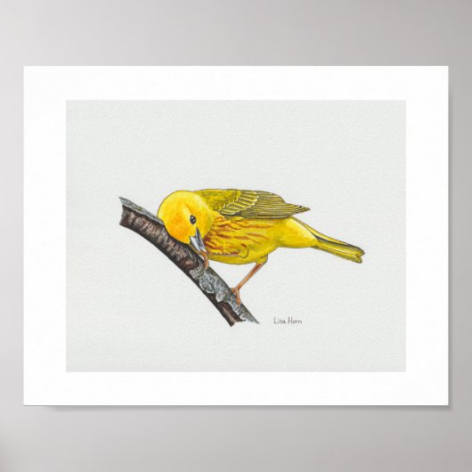 Grappige gele Warbler Art Print (Voorkant)