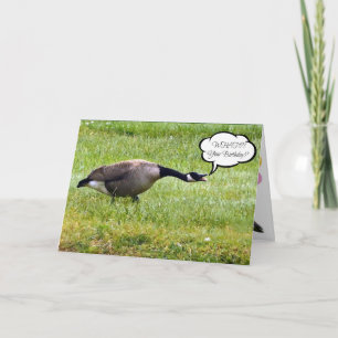 Grappige Gelukkige Verjaardag Gans Te Laat Kaart
