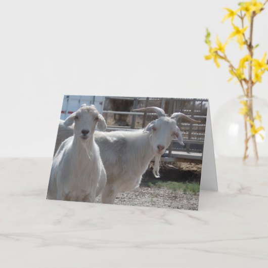 Grappige gelukkige verjaardagsgeiten kaart (Gele Bloem)