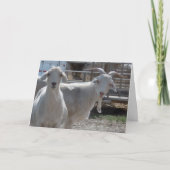 Grappige gelukkige verjaardagsgeiten kaart (Voorkant)