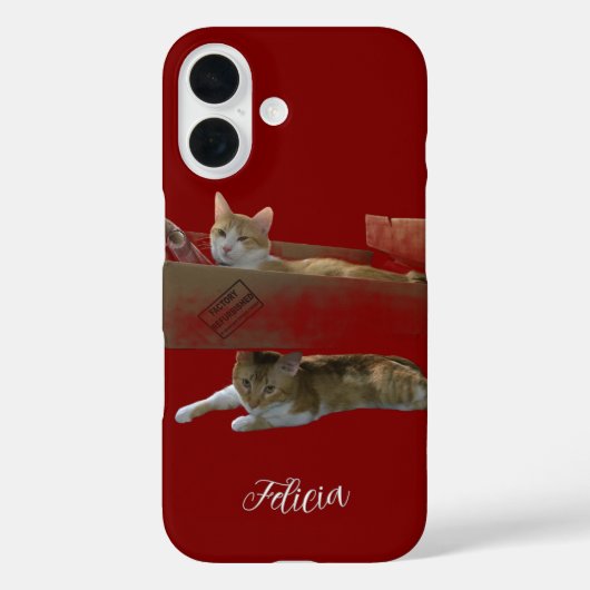 Grappige gemberkatten, aanpasbare afbeelding en fo Case-Mate iPhone case (Achterkant)