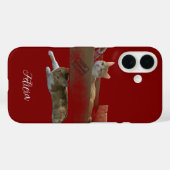 Grappige gemberkatten, aanpasbare afbeelding en fo Case-Mate iPhone case (Achterkant (horizontaal))