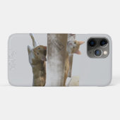 Grappige gemberkatten,  Afbeelding en foto, Case-Mate iPhone Case (Achterkant (horizontaal))