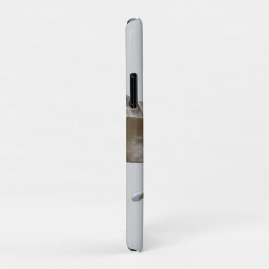 Grappige gemberkatten,  Afbeelding en foto, Case-Mate iPhone Case (Achterkant/rechts)