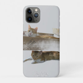 Grappige gemberkatten,  Afbeelding en foto, Case-Mate iPhone Case