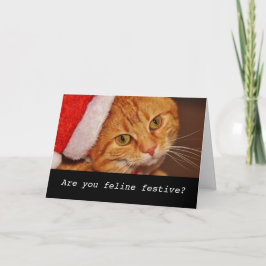 Grappige gepersonaliseerde kat kerstkaart feestdagen kaart