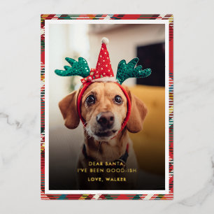 Grappige geruite hond huisdier foto kerst folie feestdagenkaart