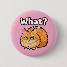 Grappige Geschokte Rode Kat Wat? Meme Knop