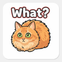 Grappige Geschokte Rode Kat Wat? Meme Sticker