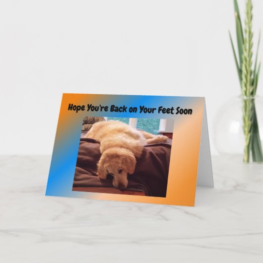 Grappige Get Well Kaart met Golden Retriever (Voorkant)
