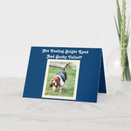 Grappige "Get Well" Kaart met Schattigee Basset Ho
