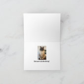 Grappige gewoonten van honden in katten kaart (Binnen)