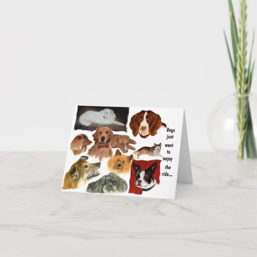 Grappige gewoonten van honden in katten kaart (Voorkant)