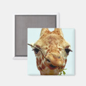 Grappige giraffe baby magneet (Voorkant / Achterkant)