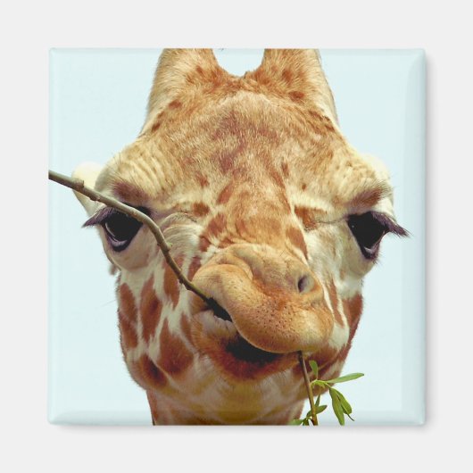Grappige giraffe baby magneet (Voorkant)