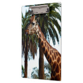 Grappige Giraffe Die Een Framboos Geef, Klembord (Links)