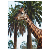 Grappige Giraffe Die Een Framboos Geef, Klembord (Achterkant)