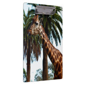 Grappige Giraffe Die Een Framboos Geef, Klembord (Rechts)