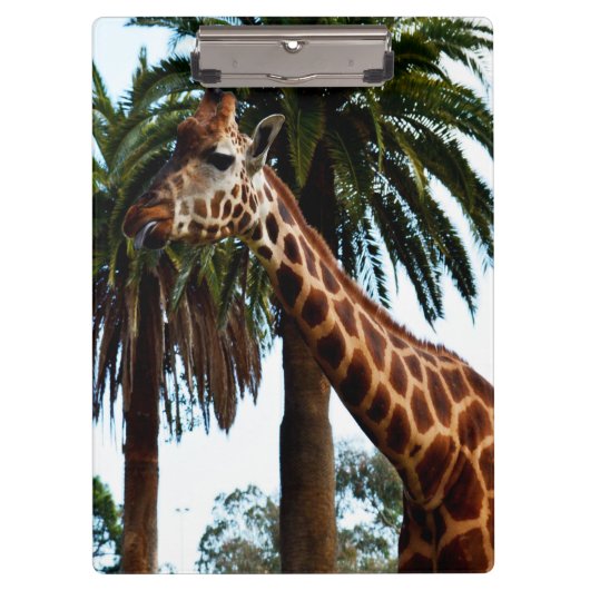 Grappige Giraffe Die Een Framboos Geef, Klembord (Voorkant)