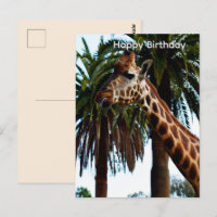 Grappige Giraffe Die Een Fratsen Verjaardagskaart 