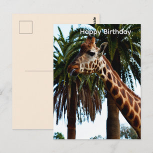 Grappige Giraffe Die Een Fratsen Verjaardagskaart  Briefkaart
