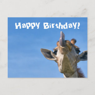 Grappige Giraffe Gefeliciteerd Briefkaart