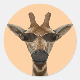 Grappige Giraffe Onopvallend Met Trendy Zonnebril Ronde Sticker