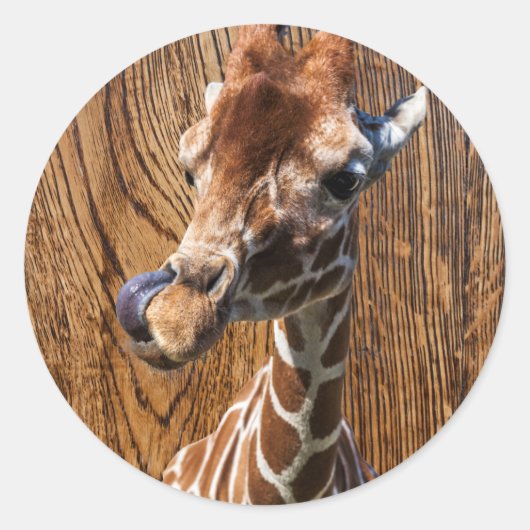 Grappige giraffe op houten achtergrond ronde sticker (Voorkant)