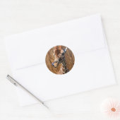 Grappige giraffe op houten achtergrond ronde sticker (Envelop)