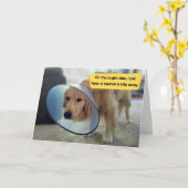 Grappige Golden Retriever in Cone Get Well Kaart (Gele Bloem)