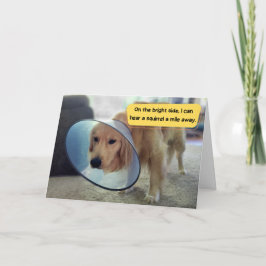 Grappige Golden Retriever in Cone Get Well Kaart