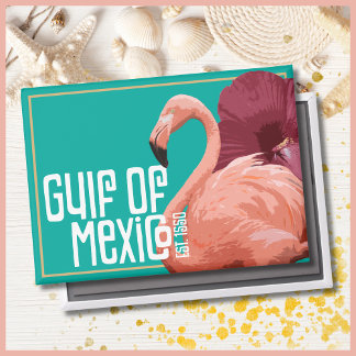 Grappige Golf van Mexico Gesticht 1550 Historisch Magneet