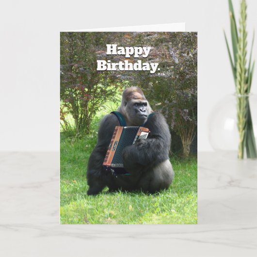 Grappige Gorilla Accordeon Speler Verjaardag Kaart (Voorkant)
