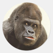 Grappige Gorilla stickers (Voorkant)