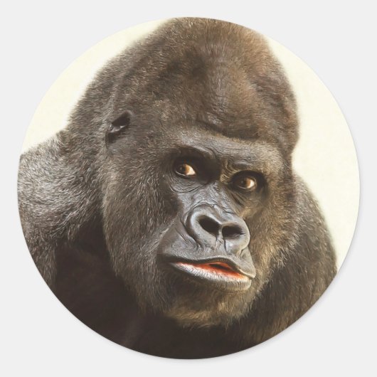 Grappige Gorilla stickers (Voorkant)
