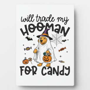 Grappige Gouden Hond Halloween Geest Spookachtig Fotoplaat
