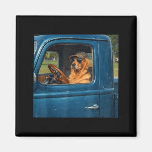 Grappige gouden retriever meme hond rijdt in vinta magneet