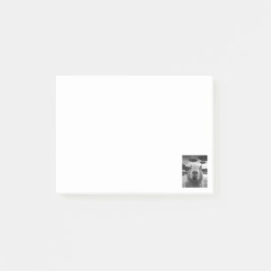 Grappige grafische capybara selfie met UFO's raar Post-it® Notes