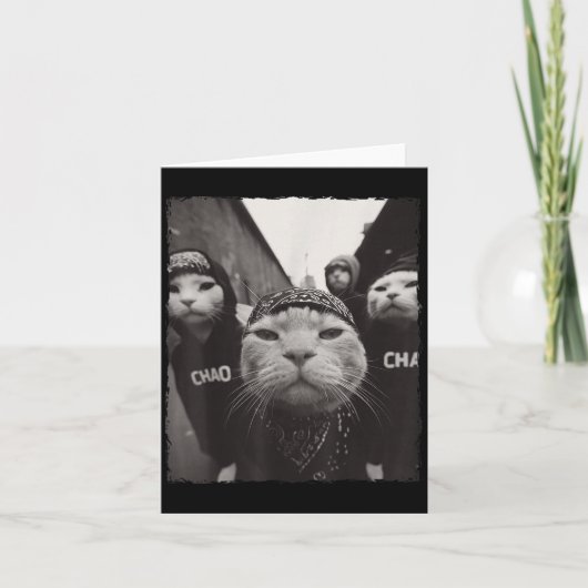 Grappige grafische kat gangster grappig kaart (Voorkant)