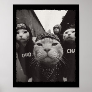 Grappige grafische kat gangster grappig poster