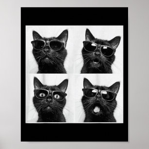 Grappige Grafische Kat Photobooth Selfie Grappig _ Poster