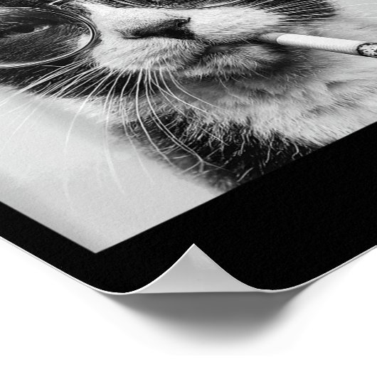 Grappige grafische kat roken volwassen grappig _1 poster (Hoek)