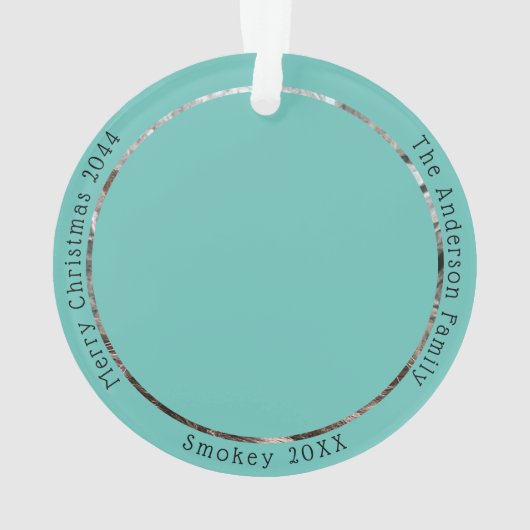 Grappige Grijze Kat Bezoeken Santa Custom Kerstmis Ornament (achterkant)