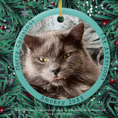 Grappige grijze kat bezoekt de kerstman met hilari keramisch ornament