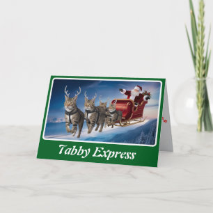 Grappige grijze tabby kerst kaart