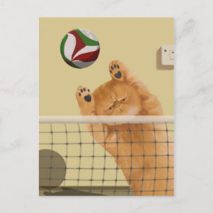 Grappige grillige speelse kat: Volleybal Briefkaart