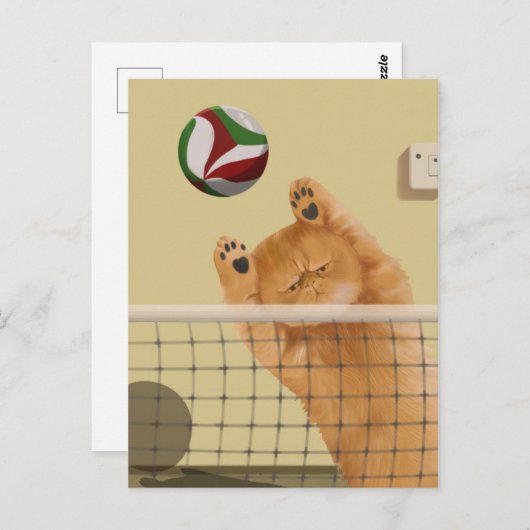 Grappige grillige speelse kat: Volleybal Briefkaart (Voorkant / Achterkant)