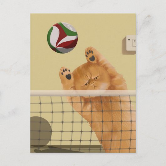 Grappige grillige speelse kat: Volleybal Briefkaart (Voorkant)