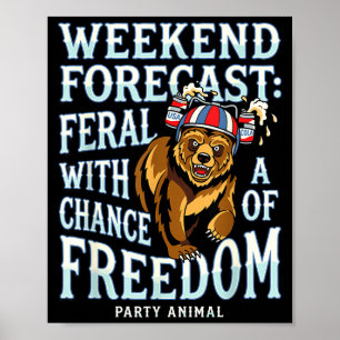 Grappige grizzlybeer patriottische zomer vrijheid poster