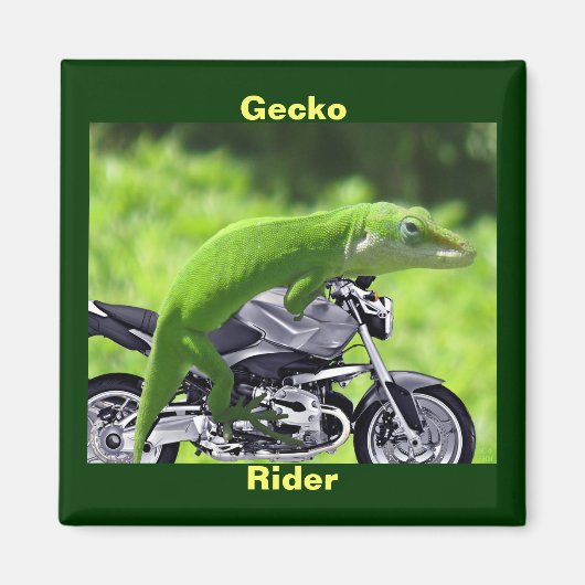 Grappige groene Hawaiian Gecko Rider Magnet (Voorkant)